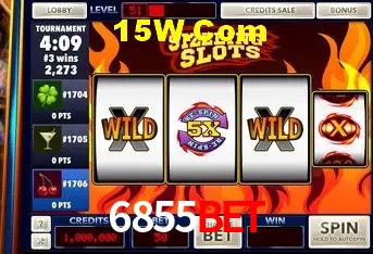 6855Bet - User Statistics